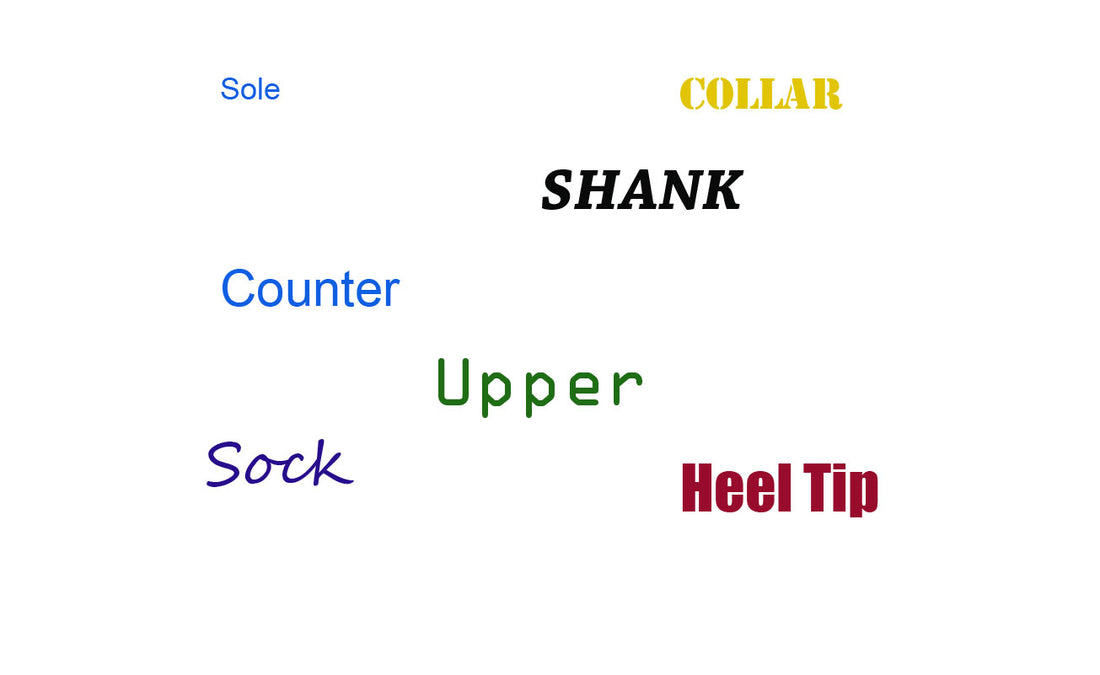 Anatomy Of A Shoe